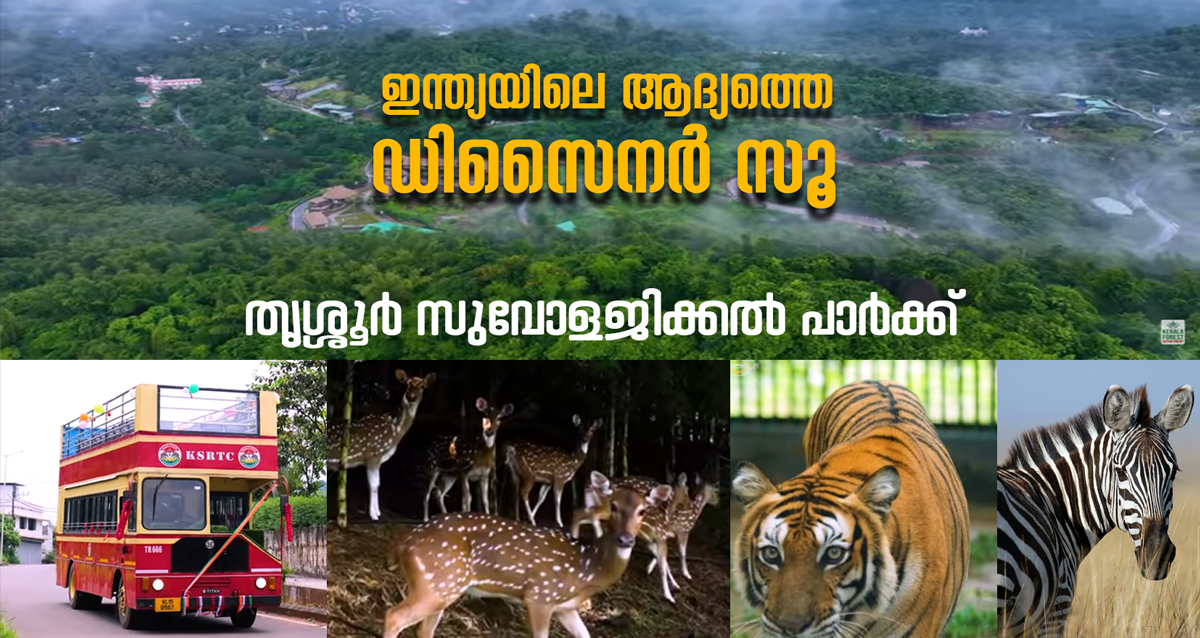 മൃഗങ്ങളെ അടച്ചിടാത്ത മൃഗശാല